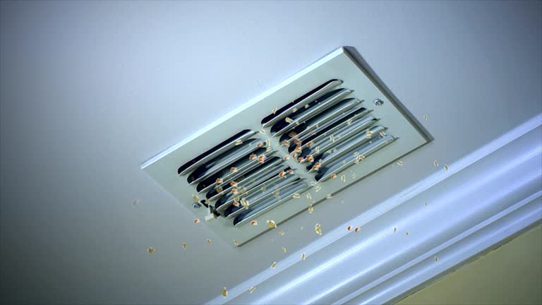 Best HVAC Duct Inspection Services  in Shafter, CA