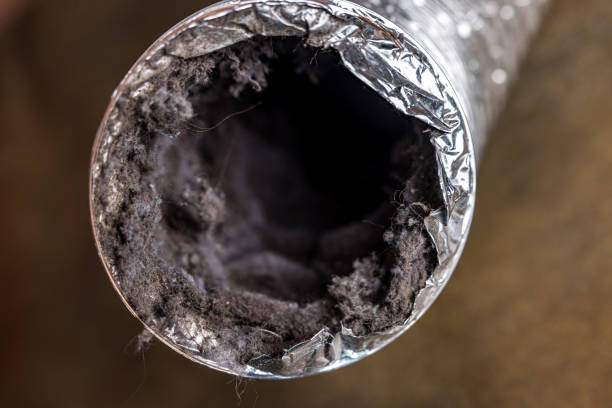 Best Local Air Duct Cleaning Services  in Shafter, CA